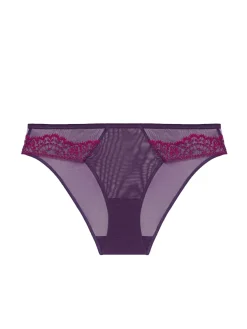 Culotte - Violet Euphoria