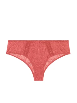 Shorty - Rose Texas