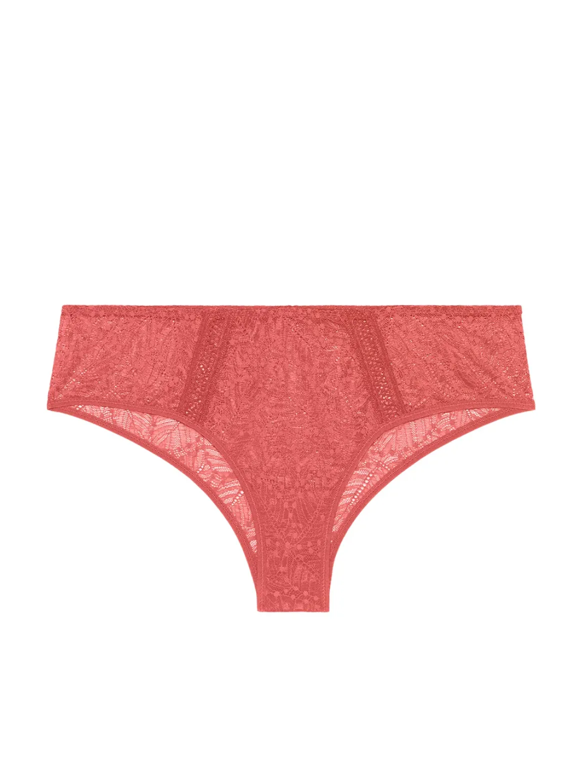 Shorty - Rose Texas