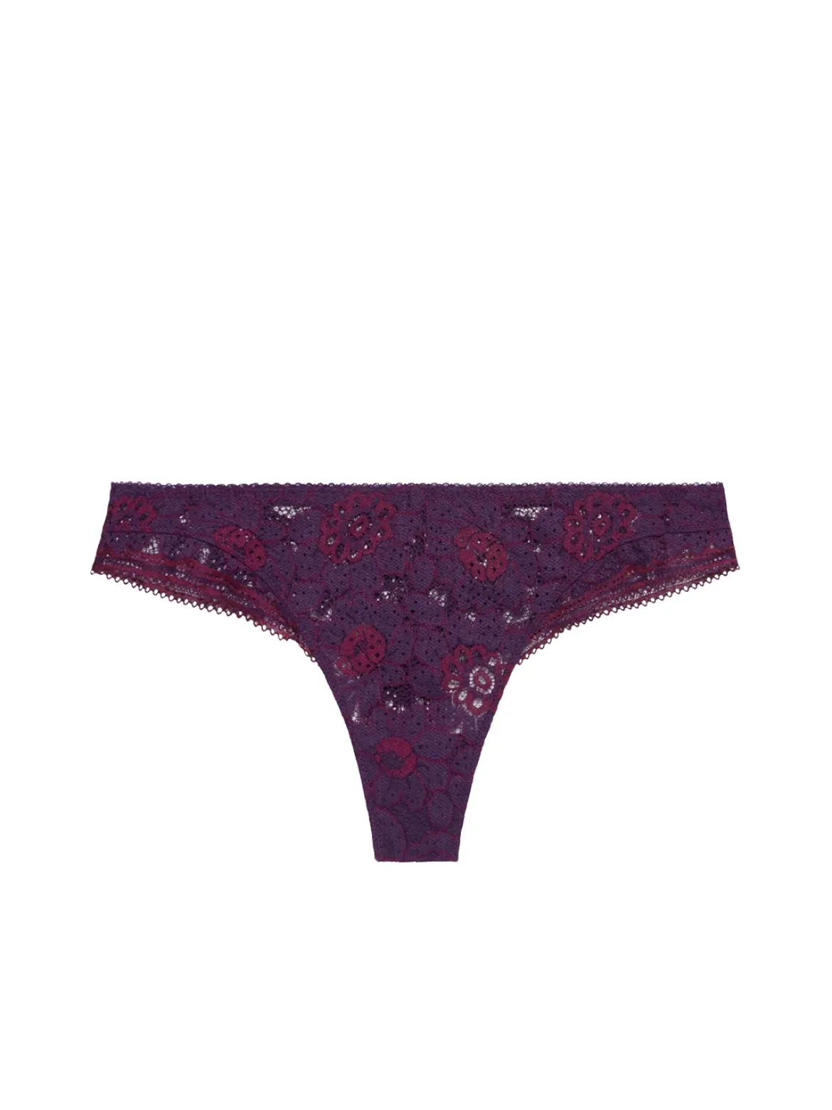 Tanga - Violet Euphoria